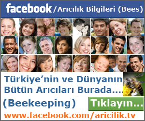Arıcılık Bees
