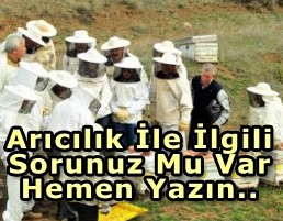 Arıcılık Sorunları