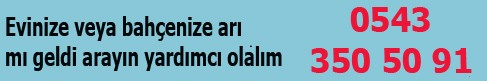Arıcılık Tel No