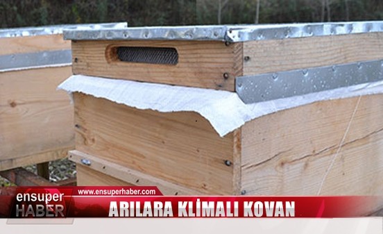 Klimalı Arı Kovanı