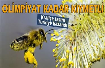 Kraliçe Tacını Türkiye Kazandı