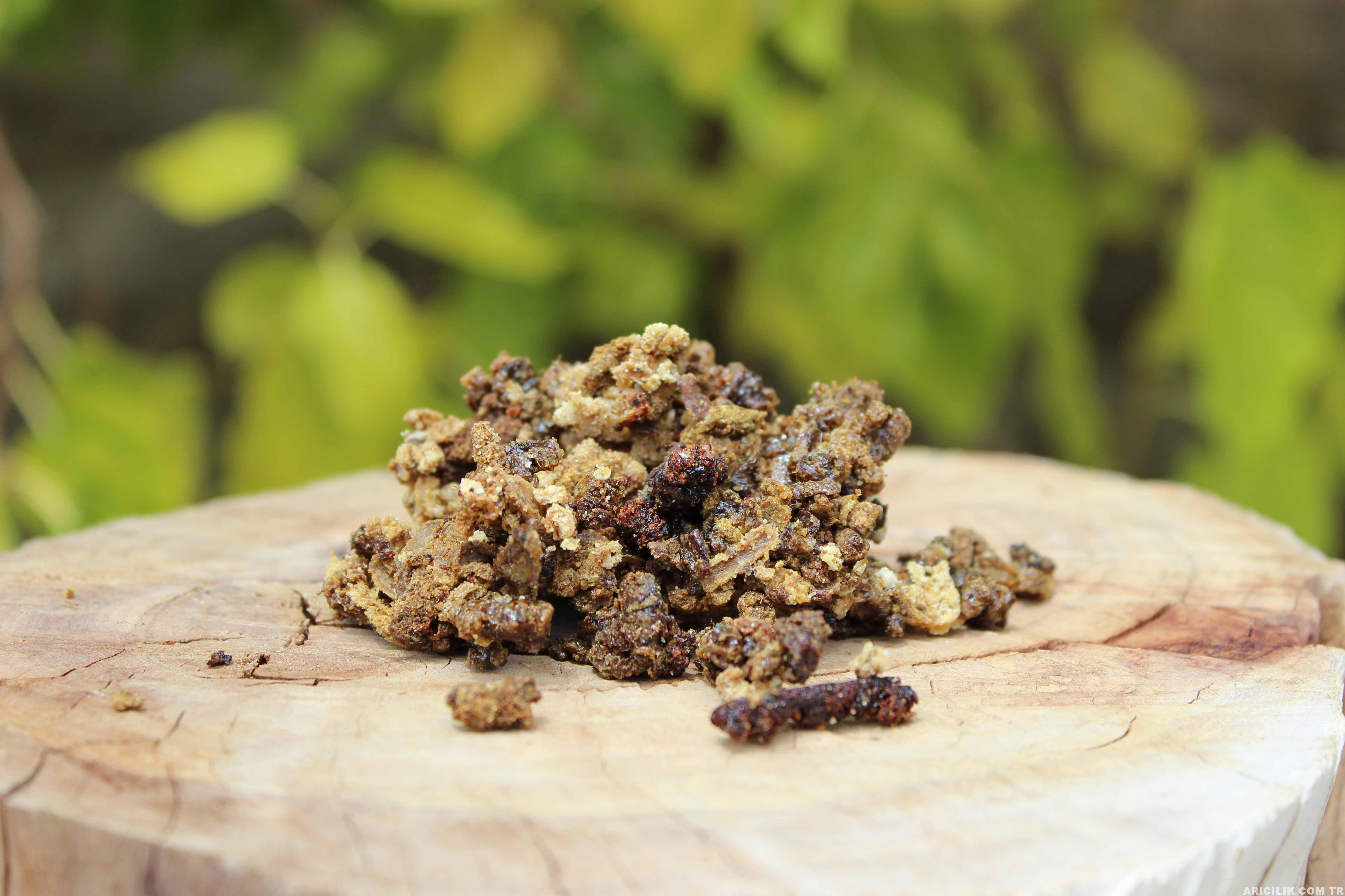 Propolis Nedir, Faydaları Nelerdir Propolis Nedir, Faydaları Nelerdir