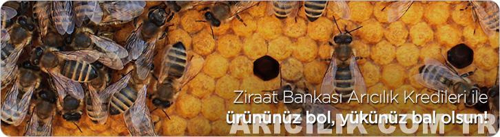 ziraat bankası arıcılık kredisi 1