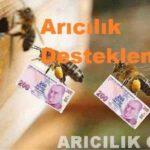 Arıcılık Desteklemesi