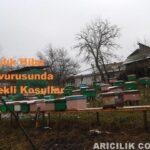 Arıcılık Hibe Başvurusunda Gerekli Koşullar Arıcılık Hibe Başvurusunda Gerekli Koşullar