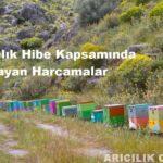 Arıcılık Hibe Kapsamında Olmayan Harcamalar