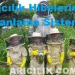 Arıcılık Hibelerinde Puanlama Sistemi