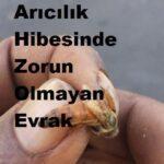 Arıcılık Hibesinde Zorun Olmayan Evrak