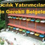 Arıcılık Yatırımcıları İçin Gerekli Belgeler