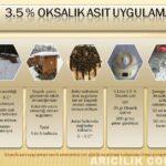 oksalik asit i̇le varroa mücadelesi