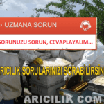 Arıcılık Hakkında Soru Sor arıcılık hakkında sorular