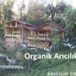 organik arıcılık projesi