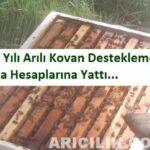 2014 yılı arılı kovan desteklemeleri