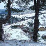 Arılarla 2015 Yılı Kar Manzaraları
