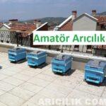 Amatör Arıcılık