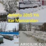 Arılarla 2015 yılı kar