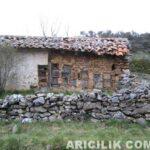 Dünyadan İlginç Arılıklar