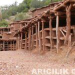 Dünyadan İlginç Arılıklar