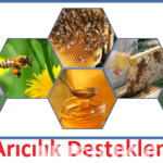 TKDK Arıcılık Desteklemeleri TKDK Arıcılık Desteklemeleri