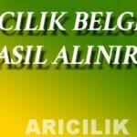 arıcılık belgesi