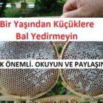 Bir Yaşından Küçüklere Bal Yedirmeyin bir yaşından küçüklere bal yedirmeyin