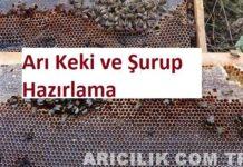 Arı Keki ve Şurup Hazırlama