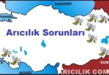 arıcılık sorunları