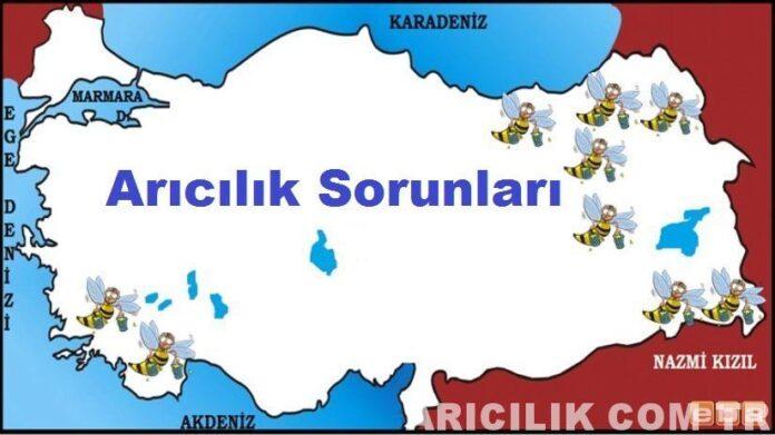 arıcılık sorunları