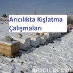 arıcılıkta kış dönemi