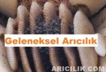 geleneksel arıcılık 2