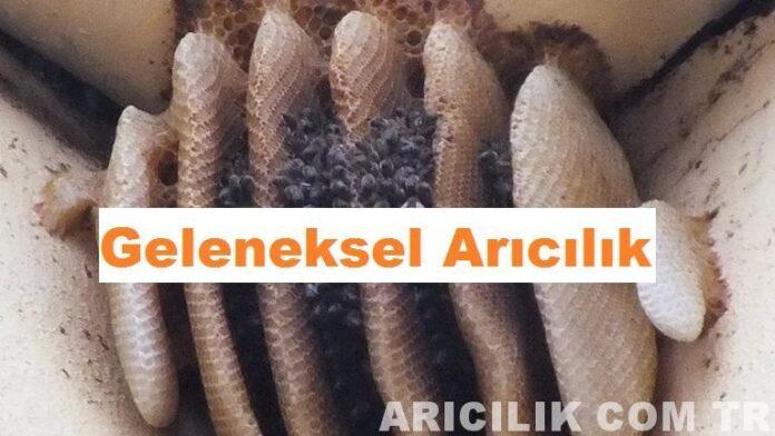 geleneksel arıcılık 2