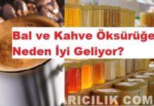 Bal ve Kahve Öksürüğe Neden İyi Geliyor