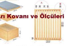 arı kovanı çeşitleri ve ölçüleri