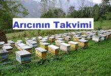 arıcının takvimi