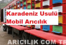 karadeniz usulu mobil arıcılık