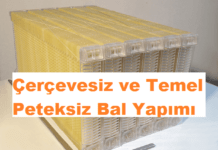 Çerçevesiz ve Peteksiz Bal Yapımı