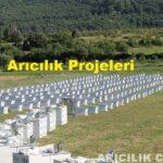 arıcılık projeleri