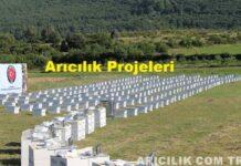 arıcılık projeleri