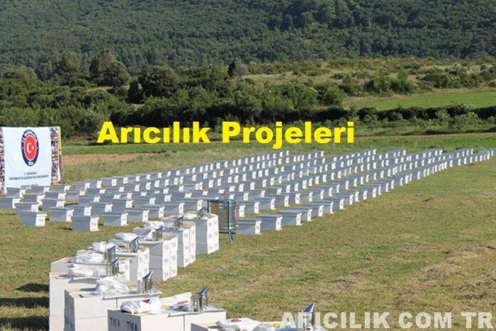 arıcılık projeleri