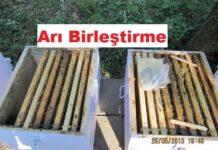 arı birleştirme