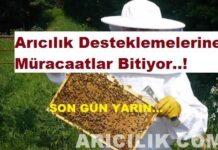 Arıcılık Desteklemelerine Müracaatlar Bitiyor