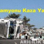 Arı Kamyonu Kaza Yaptı