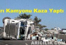 Arı Kamyonu Kaza Yaptı