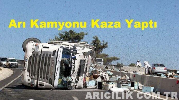 Arı Kamyonu Kaza Yaptı