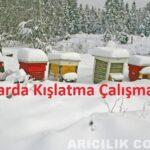 arılarda kışlatma çalışmaları