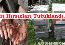 arı hırsızları tutuklandı