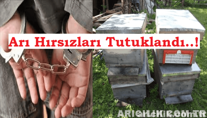 arı hırsızları tutuklandı