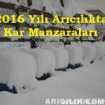 2016 yılı arıcılıkta kar manzaraları