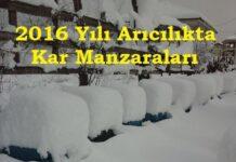 2016 yılı arıcılıkta kar manzaraları