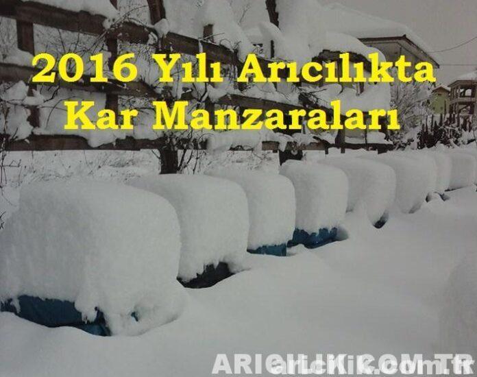 2016 yılı arıcılıkta kar manzaraları